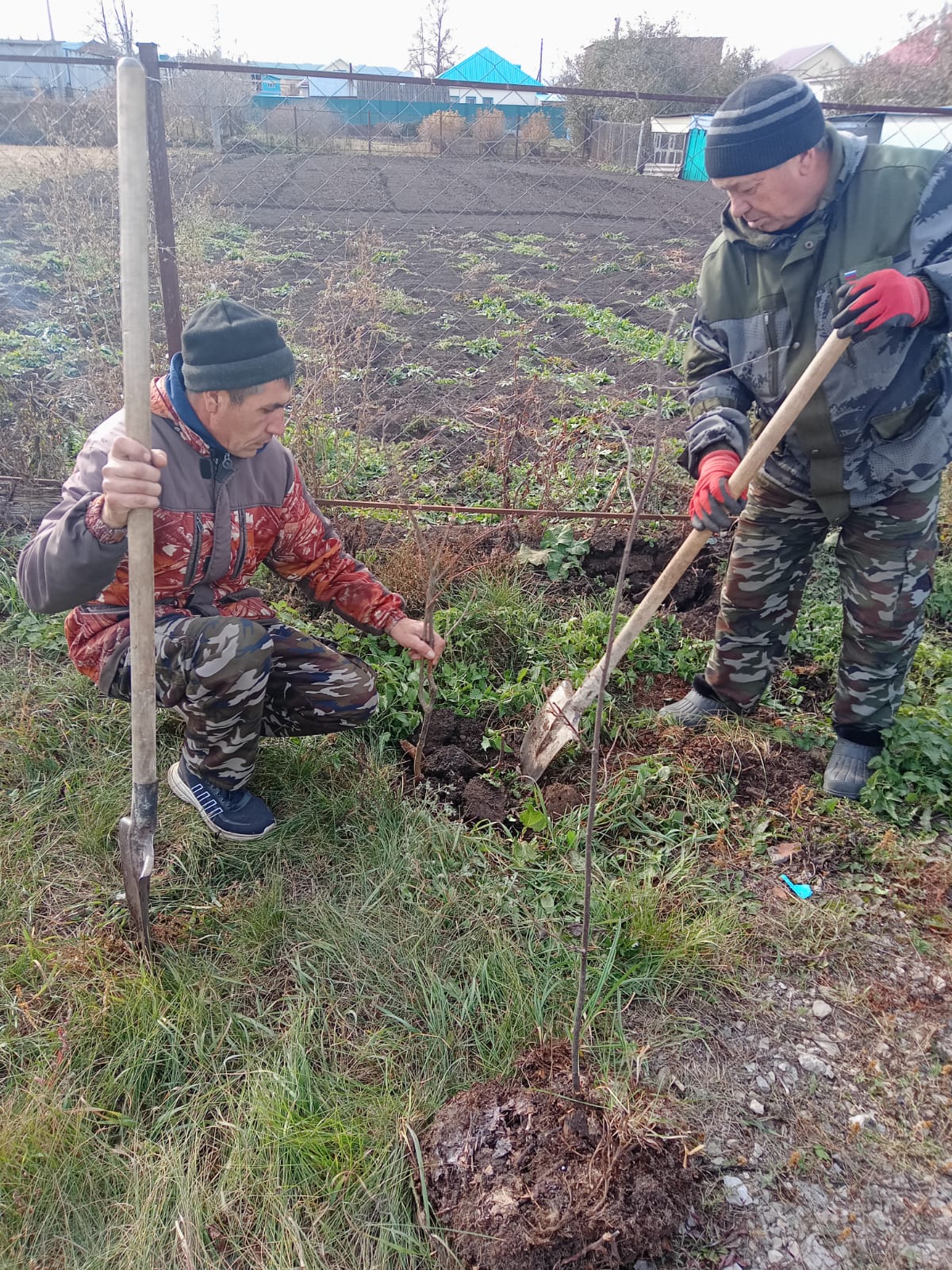 «Посади дерево — вырасти добро»